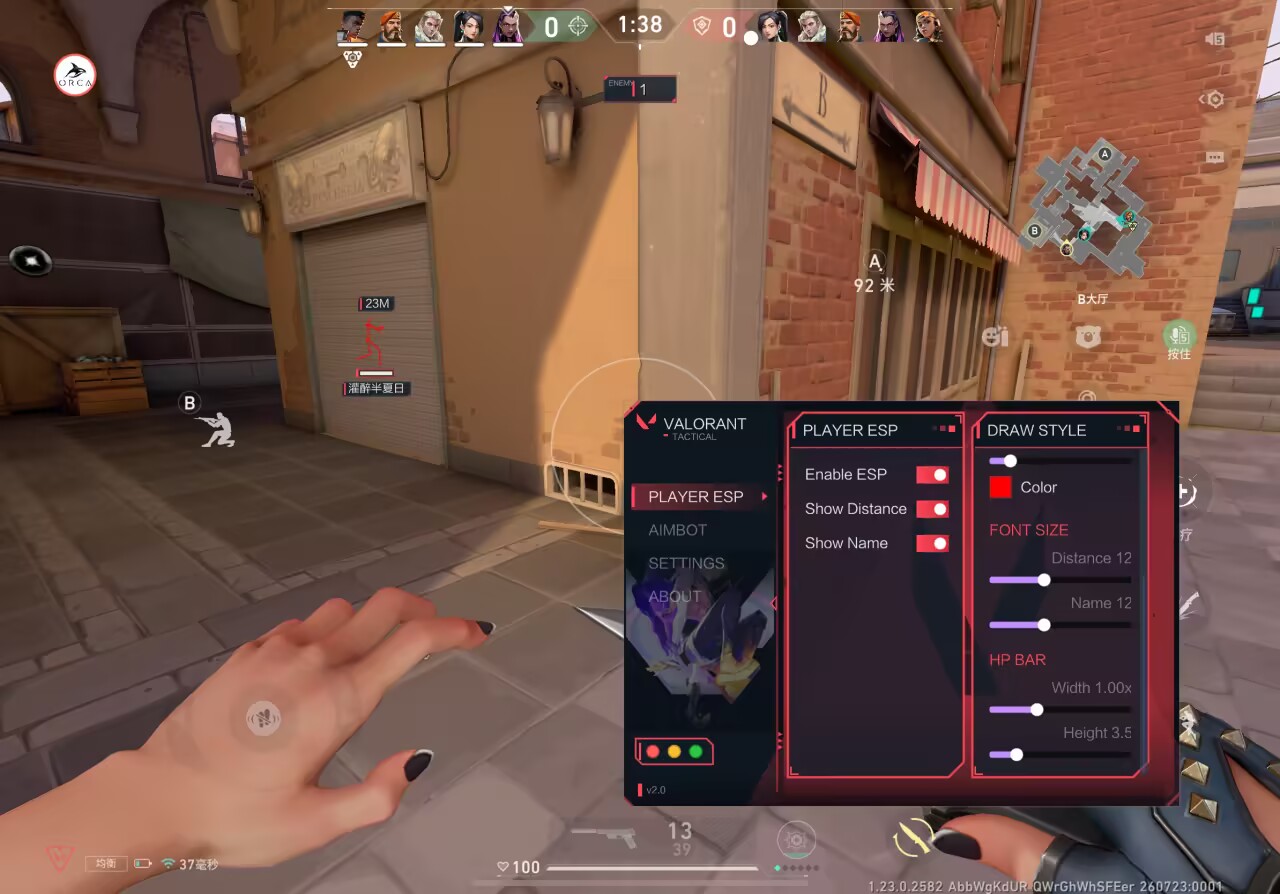 VALORANT gameplay panel screenshot